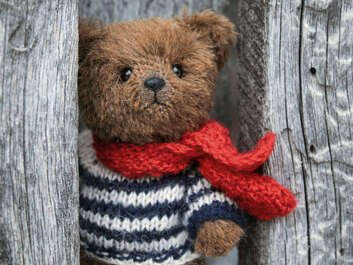 Teddybär